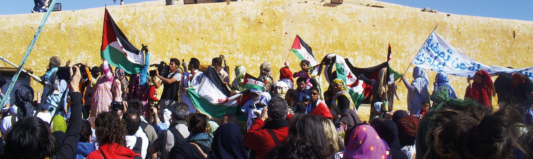 El Reino de Marruecos ha reactivado con el pueblo saharaui un conflicto bélico latente desde hace 29 años.