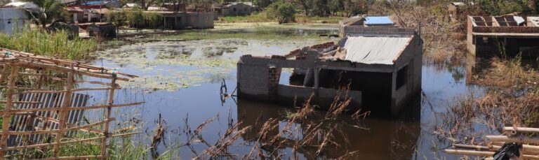 La crisis climática supone la mayor amenaza para la salud a la que se enfrenta la humanidad.